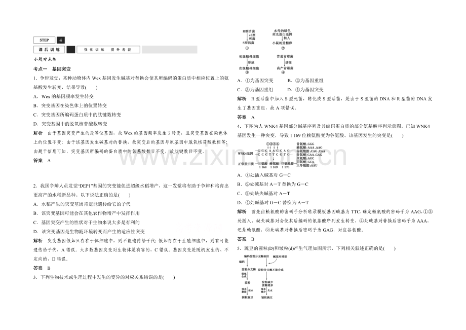 2022年高三生物(人教版)一轮复习-基础课时案21-基因突变与基因重组-课后训练.docx_第1页