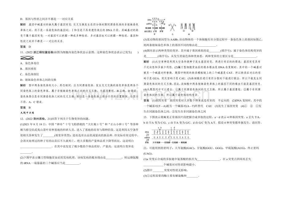 2022年高三生物(人教版)一轮复习-基础课时案21-基因突变与基因重组-课后训练.docx_第3页