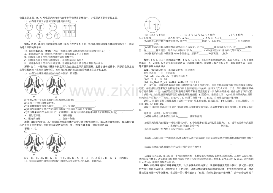 2020-2021学年高一生物(必修2)第二章第2节课时作业-.docx_第2页