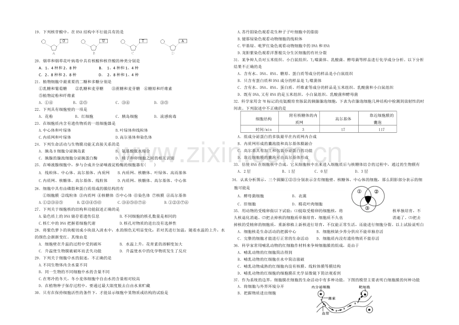 云南省玉溪一中2020-2021学年高一上学期期中考试生物-Word版含答案.docx_第2页