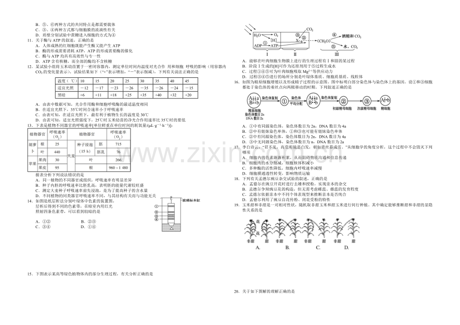 湖北版2022届高三上学期第二次月考-生物-Word版含答案.docx_第2页