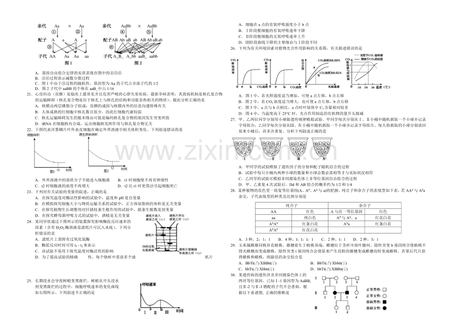 湖北版2022届高三上学期第二次月考-生物-Word版含答案.docx_第3页