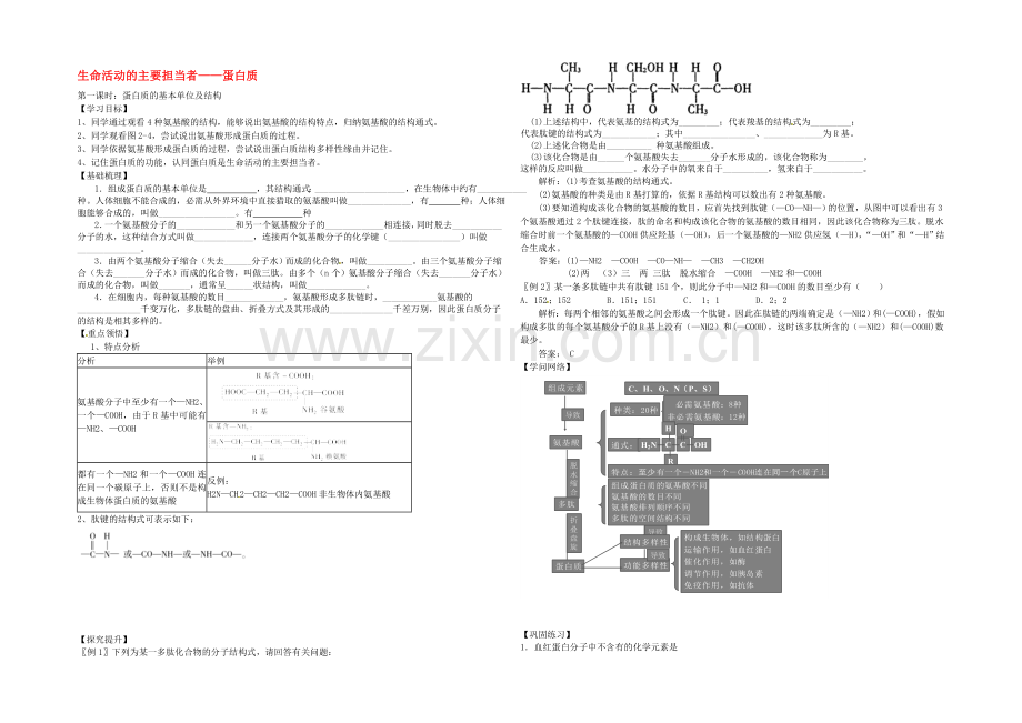 【2020秋备课】高中生物学案新人教版必修1-2.2-生命活动的承担者-蛋白质.docx_第1页