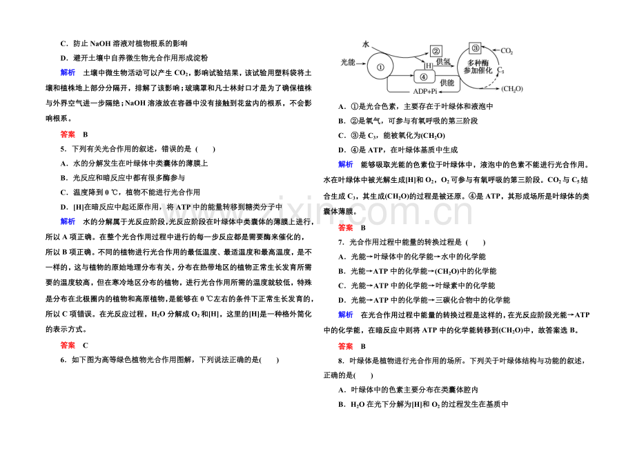 2020-2021学年高中生物(人教版)必修一双基限时练19-光合作用的原理和应用.docx_第2页