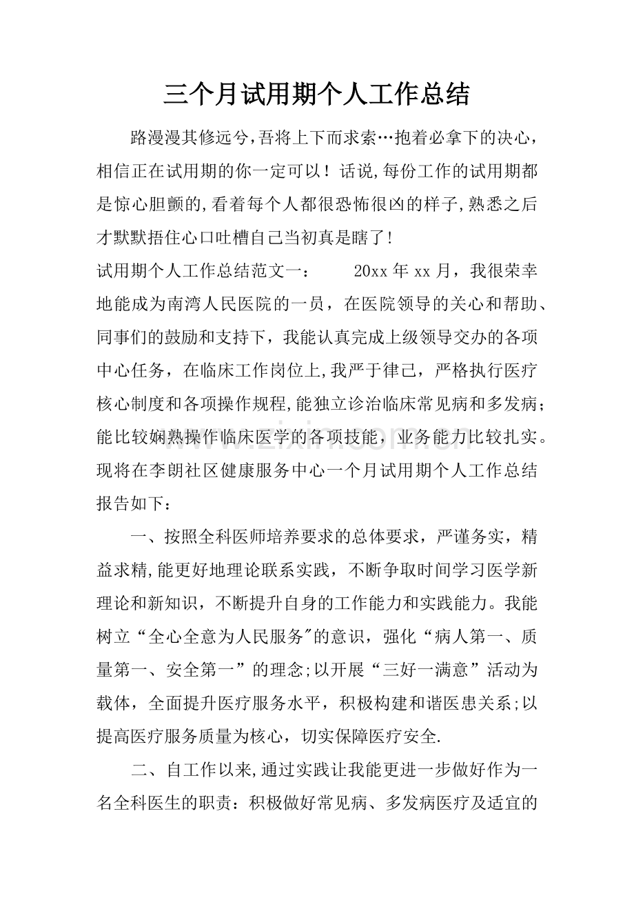 三个月试用期个人工作总结.docx_第1页