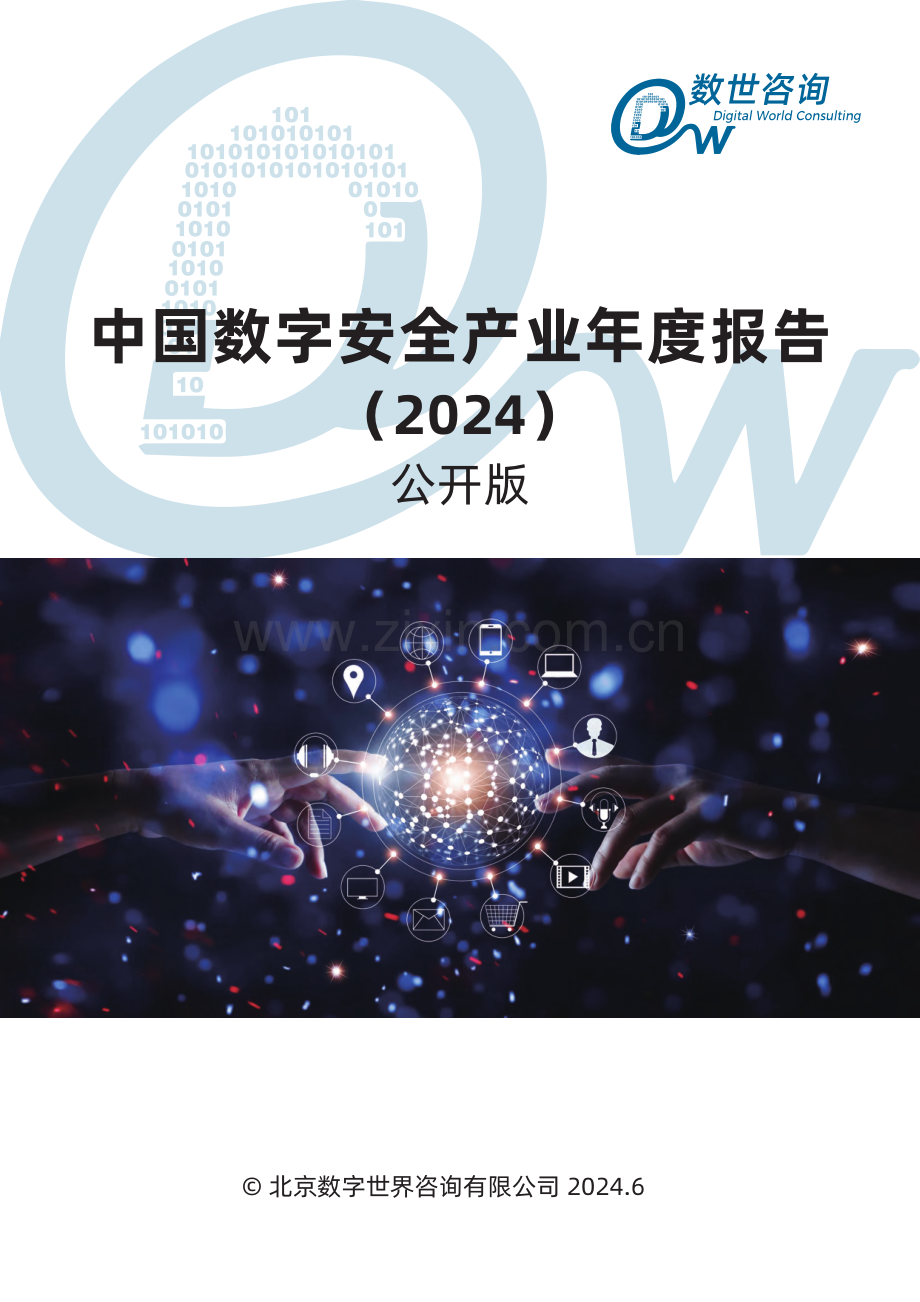 2024年中国数字安全产业年度报告.pdf_第1页