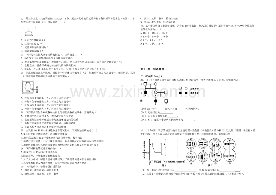 湖北省襄阳市枣阳市第二中学2022届高三上学期期中考试生物试题-Word版含答案.docx_第3页