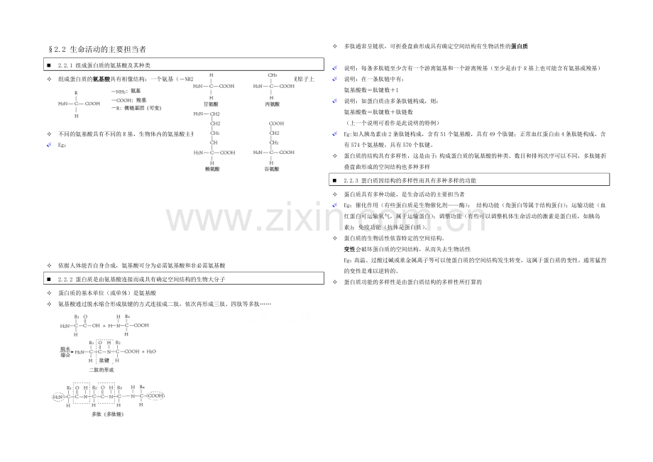 高中人教版生物学生笔记：必修1-2.2-生命活动的主要承担者.docx_第1页