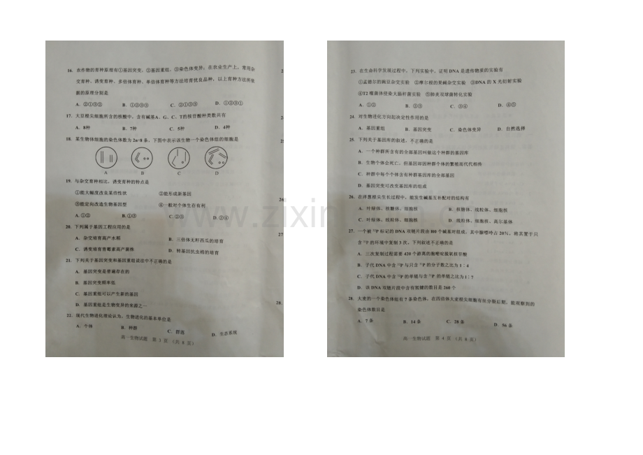 福建省南平市2020-2021学年高一下学期期末考试生物试卷-扫描版含答案.docx_第2页