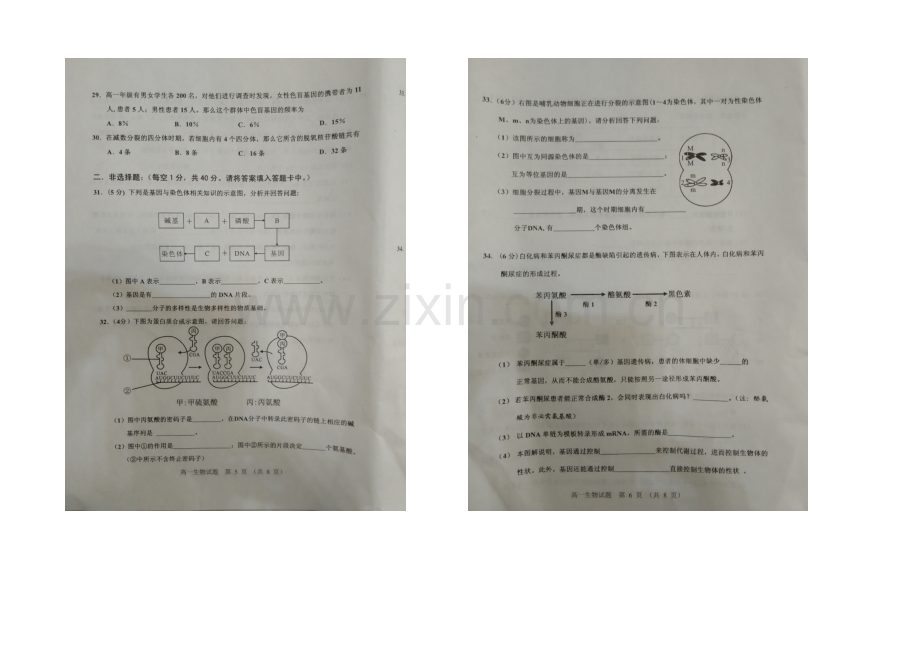 福建省南平市2020-2021学年高一下学期期末考试生物试卷-扫描版含答案.docx_第3页