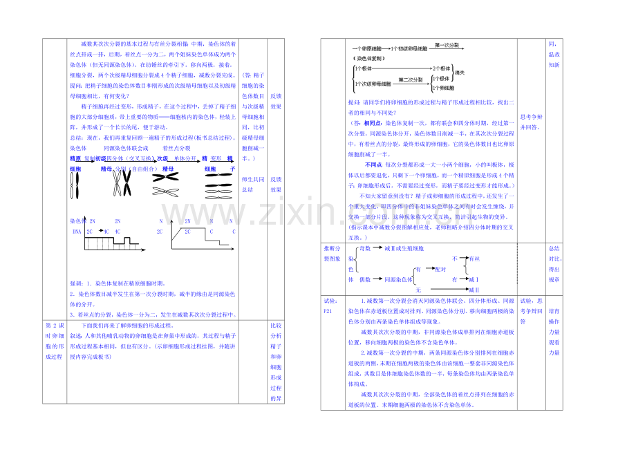 2013-2020学年高一下学期生物必修2教案-(一)第二章第1节.docx_第2页