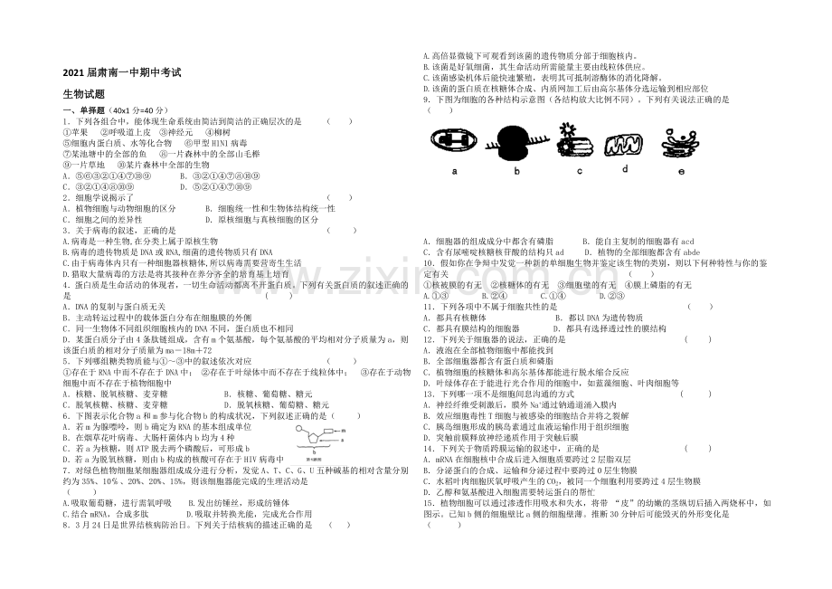 甘肃省肃南县第一中学2021届高三上学期期中考试生物试题word版含答案.docx_第1页