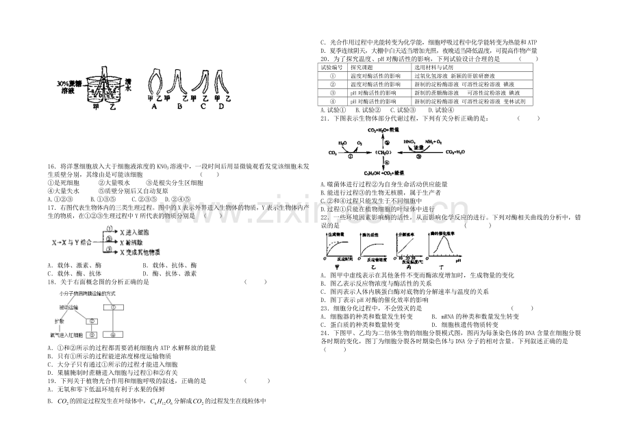 甘肃省肃南县第一中学2021届高三上学期期中考试生物试题word版含答案.docx_第2页