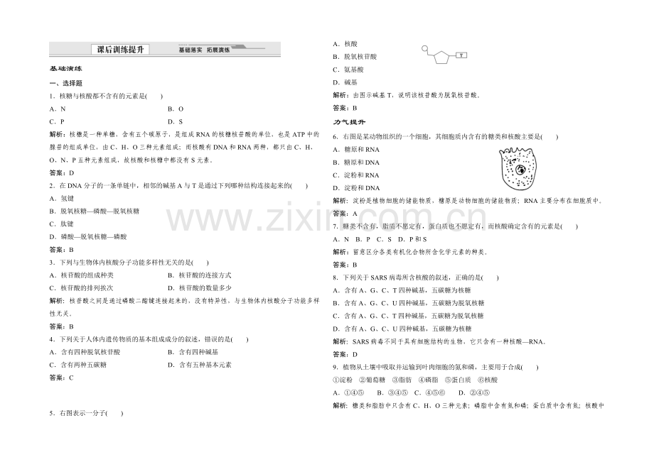 2021年高一生物同步练习：2.2.3-核酸的结构和功能(苏教版必修1)-.docx_第1页