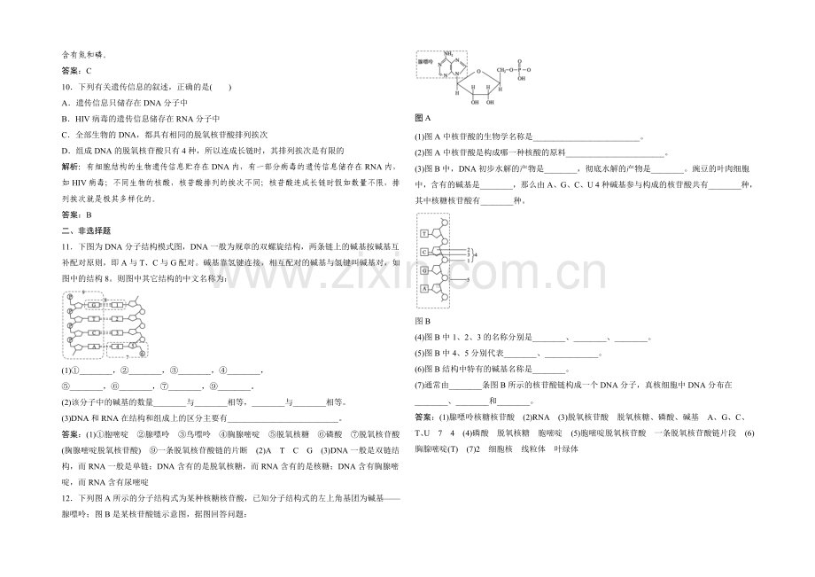 2021年高一生物同步练习：2.2.3-核酸的结构和功能(苏教版必修1)-.docx_第2页