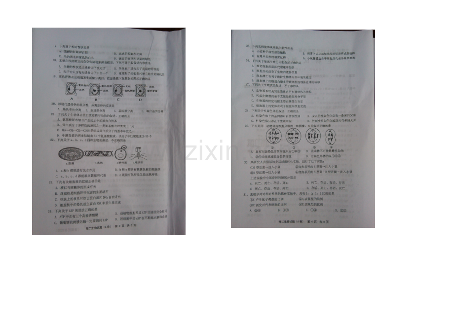 福建省宁德市2020-2021学年高二上学期期末质量检测生物试题-扫描版含答案.docx_第2页