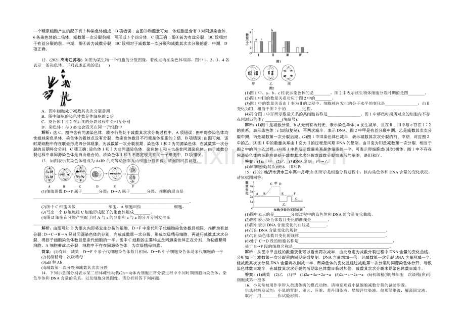 2020-2021学年高一生物(必修2)第二章第1节第1课时课时作业-.docx_第2页