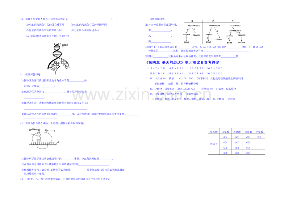 2013-2020学年高一下学期生物必修2-单元测试《第四章-基因的表达》B.docx_第3页