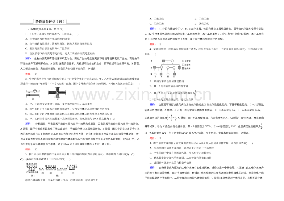 高中生物(必修二)新课标同步练习-阶段质量评估4.docx_第1页