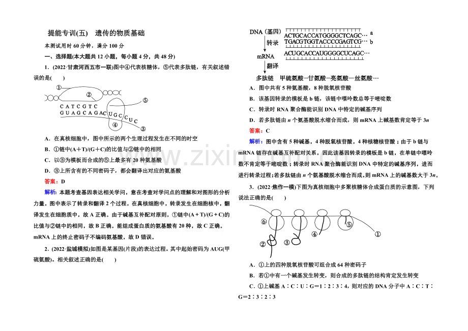 2021届高考生物二轮复习专题提能专训5遗传的物质基础.docx_第1页