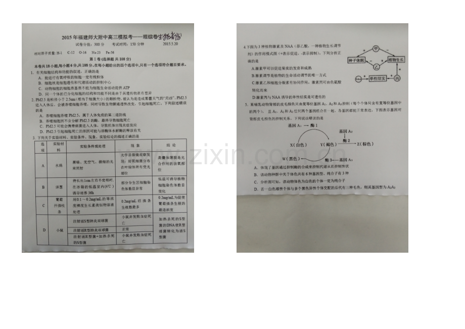 福建省师大附中2021届高三5月模拟考理综生物试卷-扫描版含答案.docx_第1页