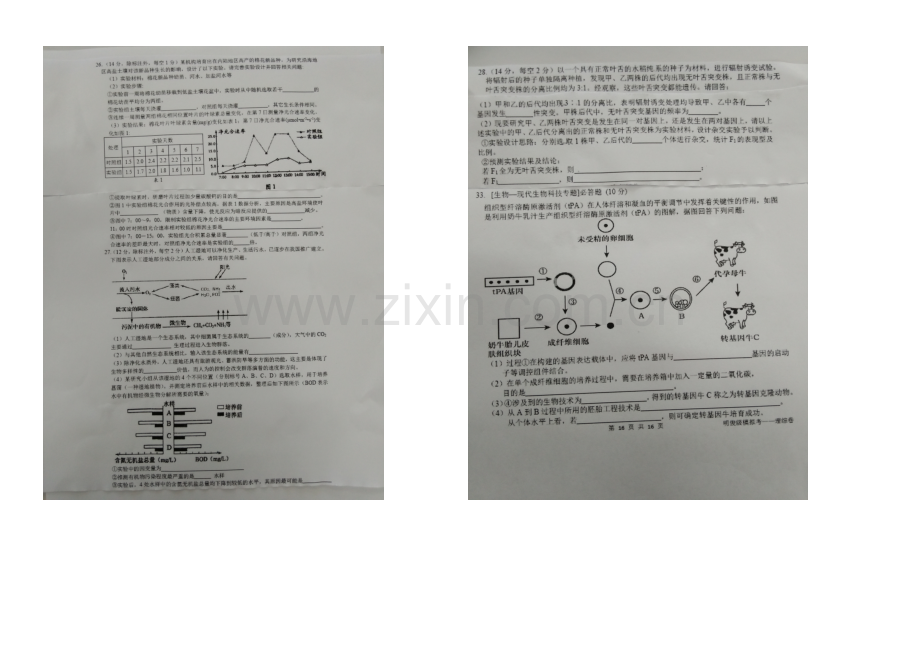 福建省师大附中2021届高三5月模拟考理综生物试卷-扫描版含答案.docx_第2页