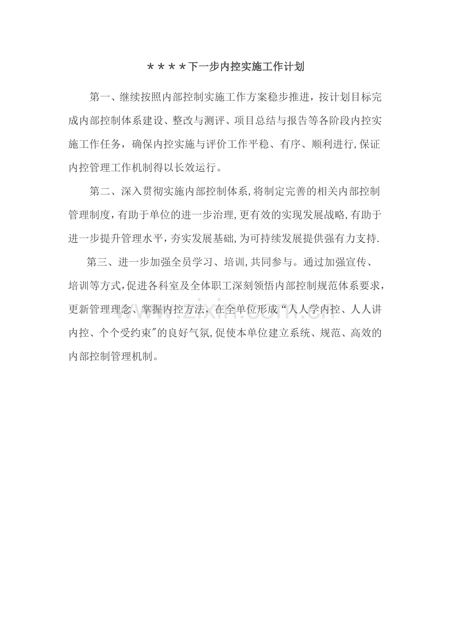 下一步内控实施工作计划.docx_第1页