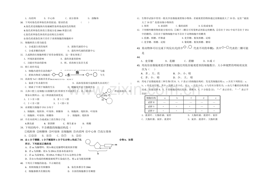 福建省厦门六中2020-2021学年高一上学期期中考试生物试卷-Word版含答案.docx_第2页