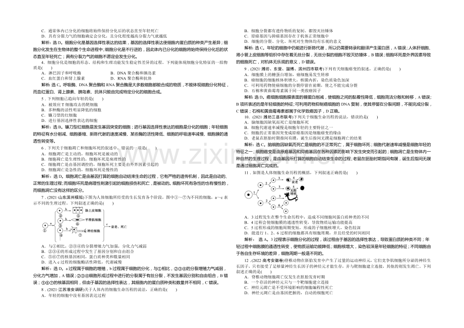 2021年高考生物(人教版)一轮复习强化练习：细胞的分化、衰老、凋亡和癌变.docx_第2页