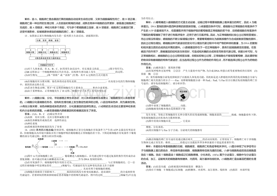 2021年高考生物(人教版)一轮复习强化练习：细胞的分化、衰老、凋亡和癌变.docx_第3页