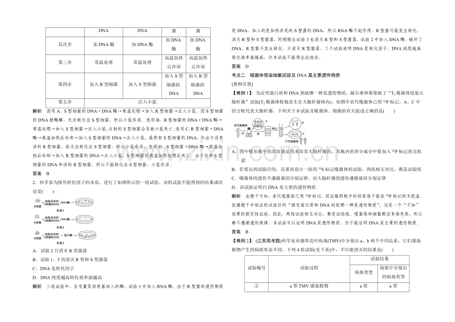 2022年高三生物(人教版)一轮复习-基础课时案17-DNA是主要的遗传物质-考点探究.docx_第2页