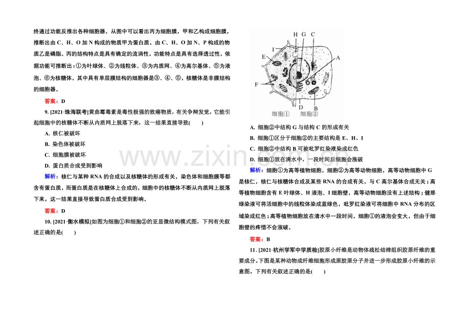 《金版教程》2022届高考生物一轮总复习限时规范特训-2-6细胞器——系统内的分工合作-.docx_第3页