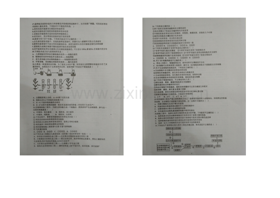 福建省连城一中2020-2021学年高二下学期期末考试生物试卷-扫描版含答案.docx_第2页