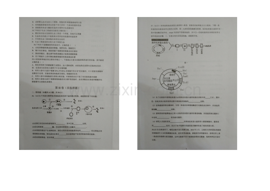 福建省连城一中2020-2021学年高二下学期期末考试生物试卷-扫描版含答案.docx_第3页