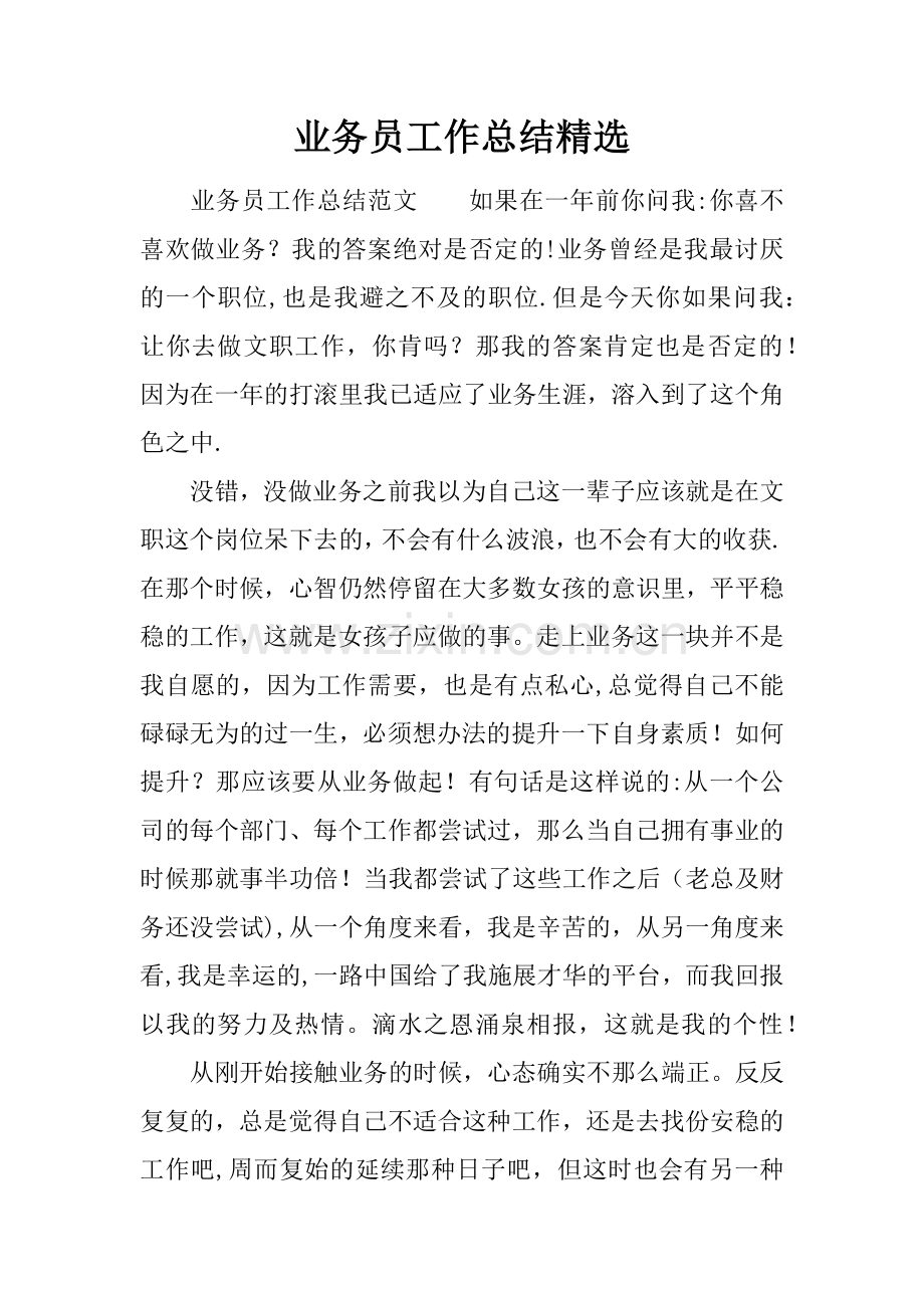 业务员工作总结精选.docx_第1页