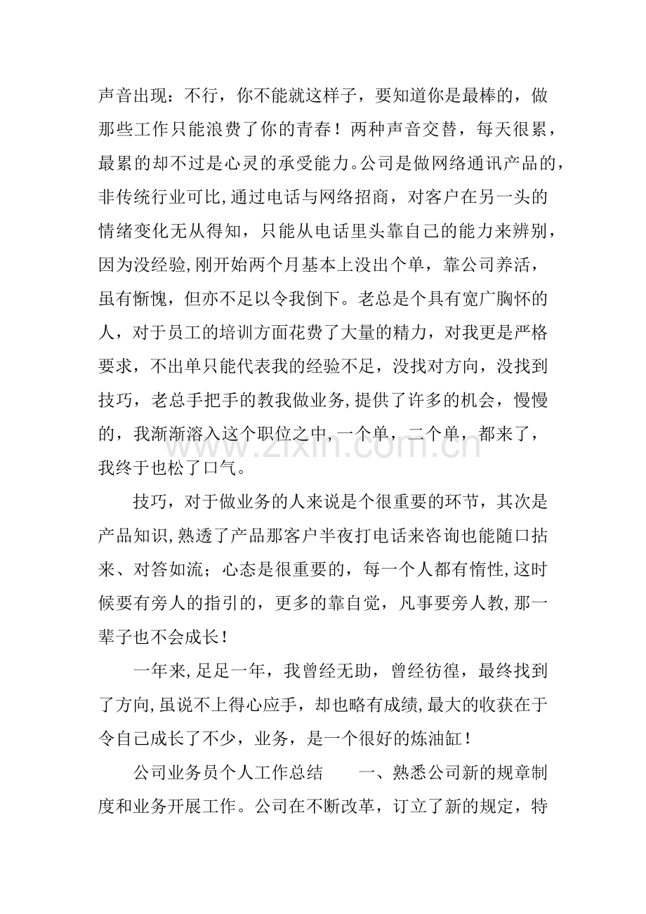 业务员工作总结精选.docx_第2页