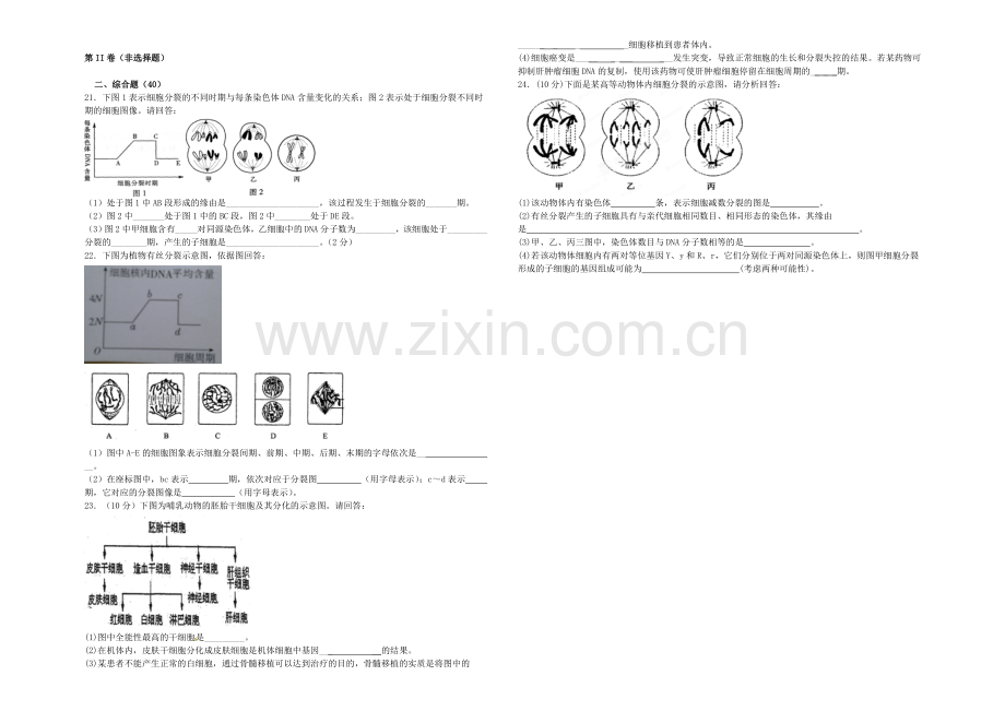 新课标2021年高一生物暑假作业5《第6章-细胞的生命历程》.docx_第3页