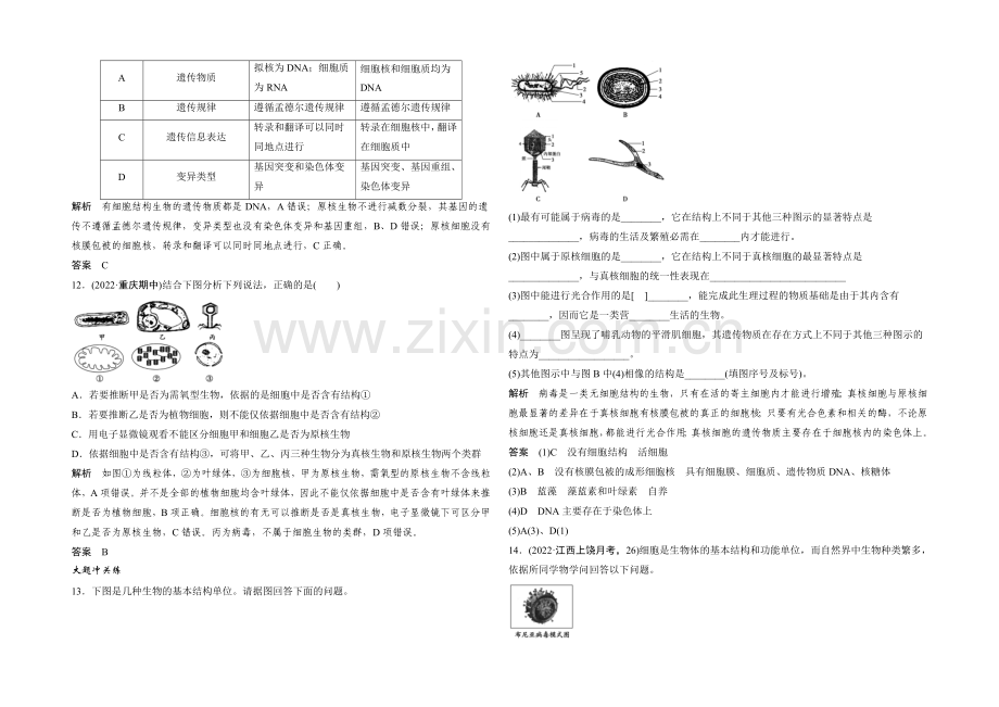 2022年高三生物(人教版)一轮复习-基础课时案1-借助显微镜走近细胞-课后训练.docx_第3页