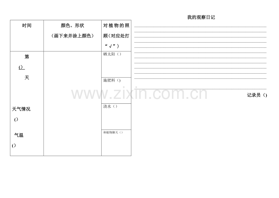 植物观察日记表格.doc_第1页