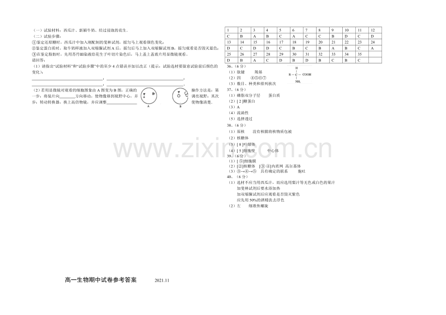 江苏省扬州中学2021-2022学年高一上学期期中考试-生物-Word版含答案.docx_第3页