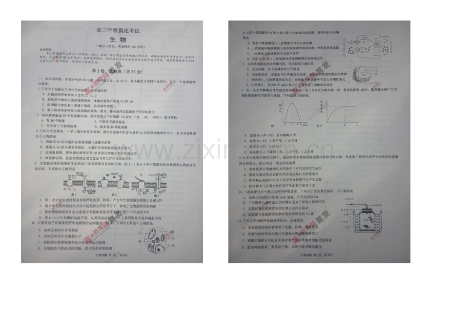 江苏省宿迁市2021届高三上学期第一次摸底考试-生物-扫描版无答案.docx_第1页