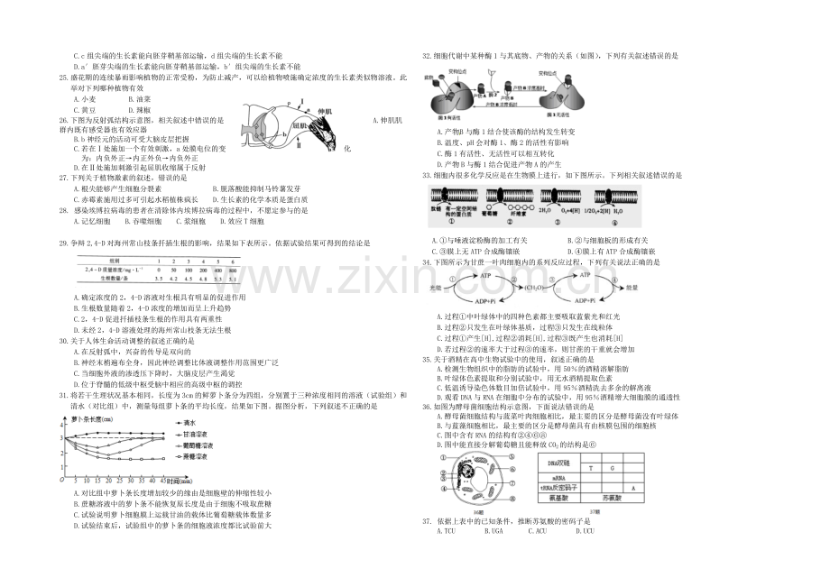 河北省唐山一中2020-2021学年高二下学期开学调研生物试题Word版含答案.docx_第3页