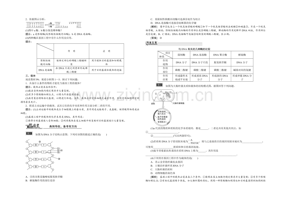 -2022届高三生物一轮复习教师用书-选修3-专题1-1.1DNA重组技术的基本工具.docx_第2页