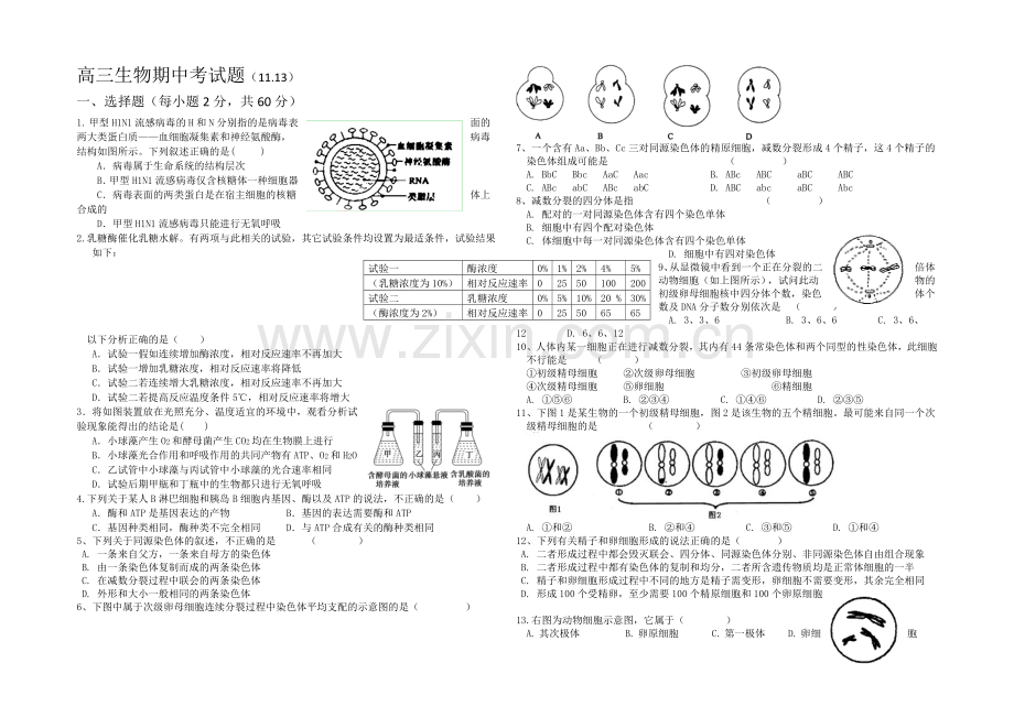 福建省诏安县桥东中学2021届高三上学期期中考试生物-Word版含答案.docx_第1页