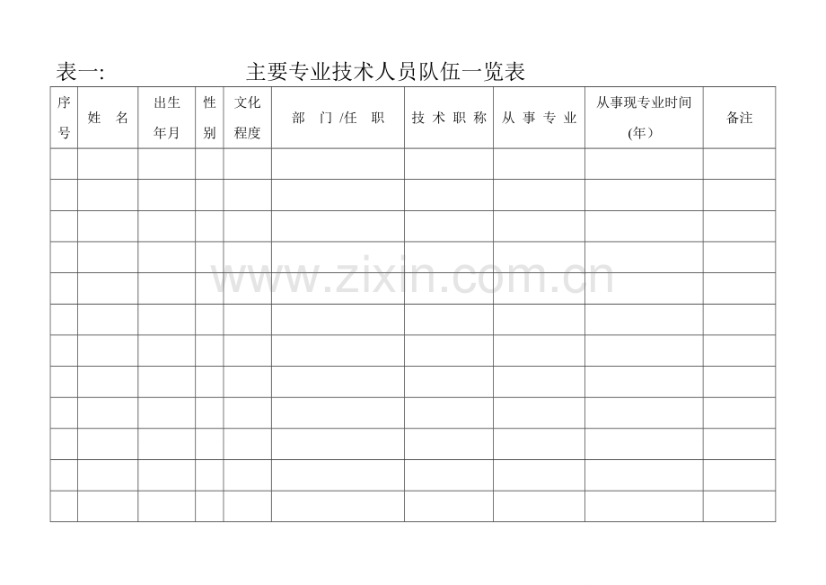 主要专业技术人员队伍一览表.doc_第1页