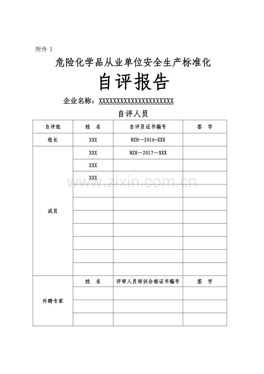 安全生产标准化年度自评报告.doc_第1页