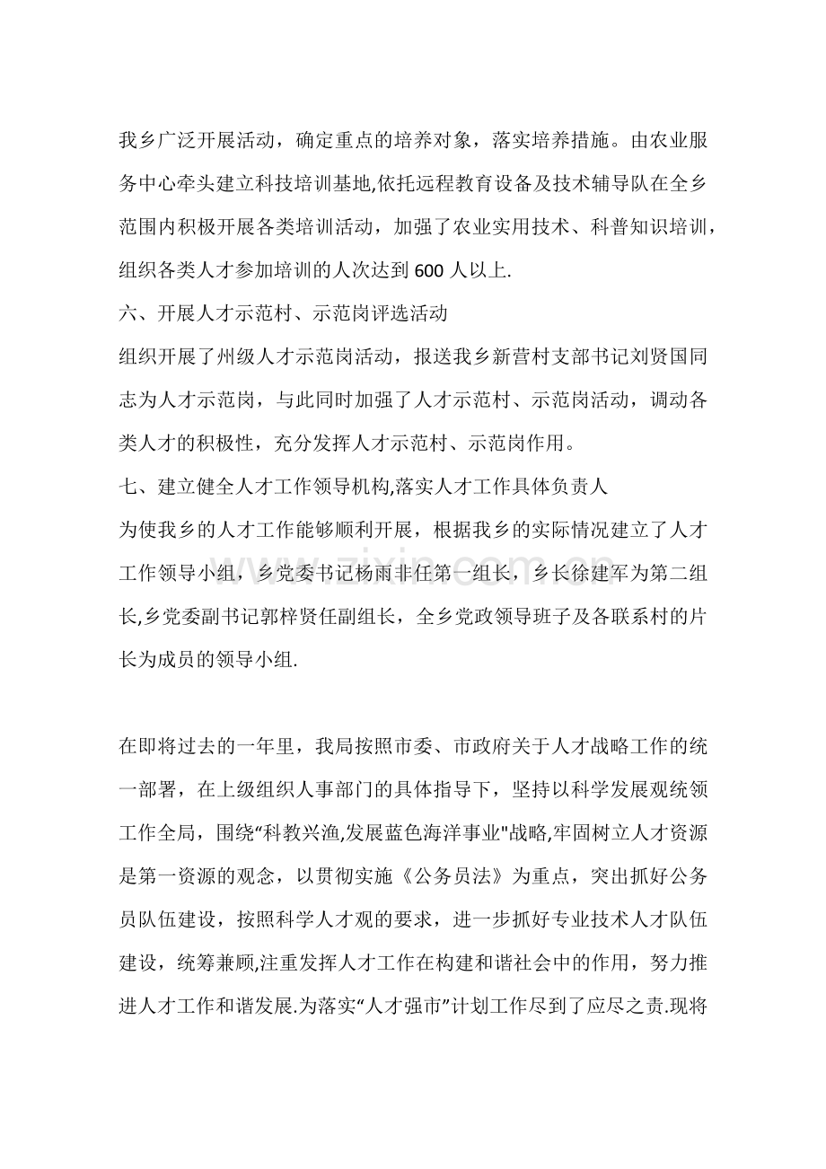 乡镇年度人才工作总结.docx_第2页