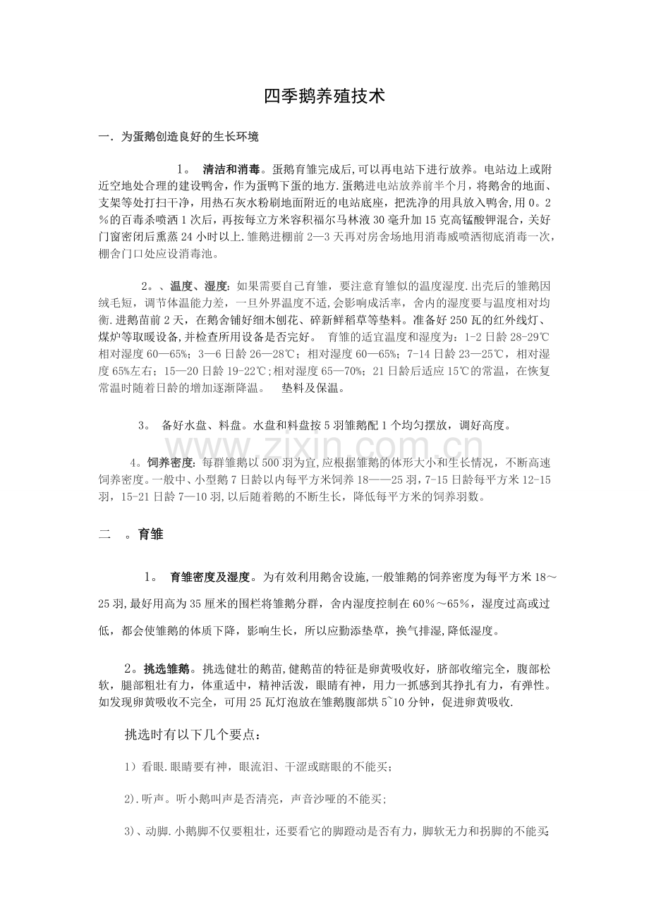 蛋鹅的养殖技术及流程.doc_第1页