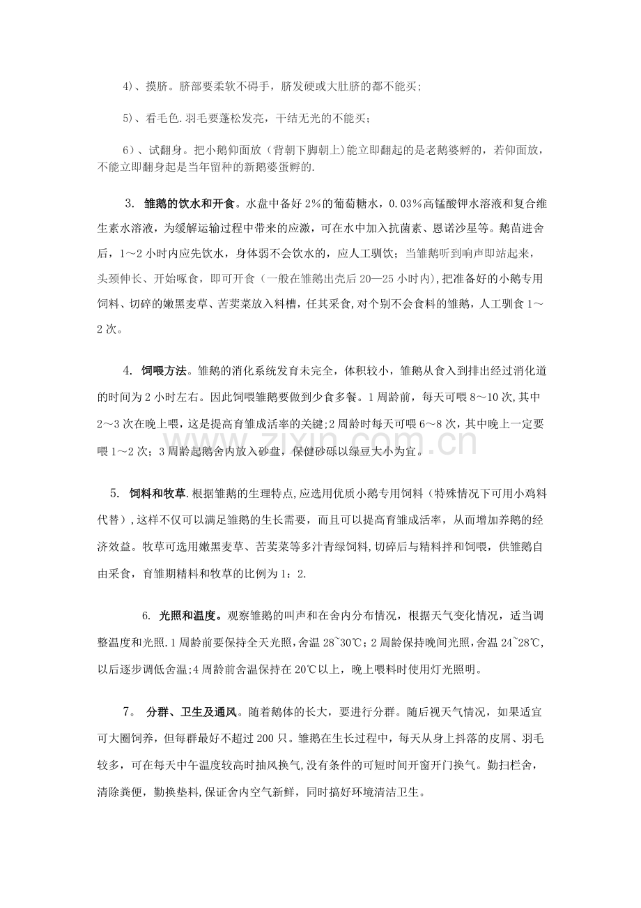 蛋鹅的养殖技术及流程.doc_第2页