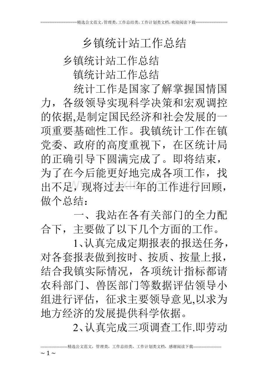 乡镇统计站工作总结.doc_第1页